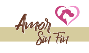 logo casarural amorsinfin 1